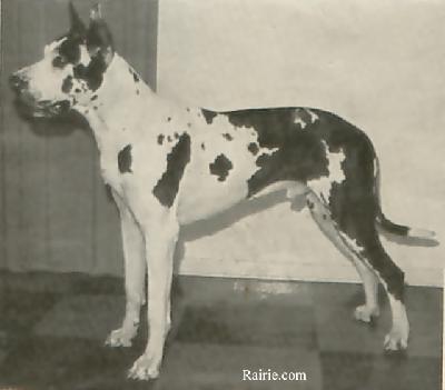 Nurmi Von Munchhausen