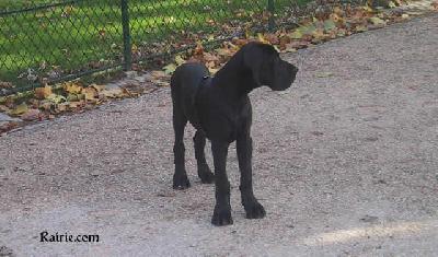 Tzeus Dit Taneo Des Terres De La Rairie