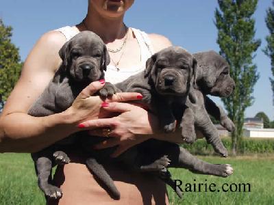 Tendresse Des Terres De La Rairie
