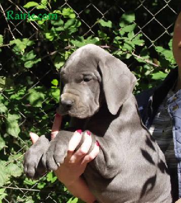 Tendresse Des Terres De La Rairie