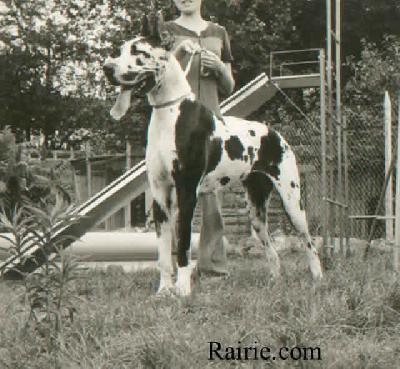 Symphonie De La Templerie