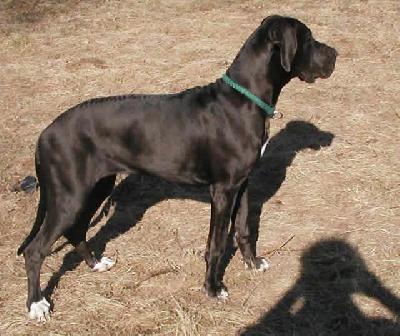 Tamya Des Terres De La Rairie