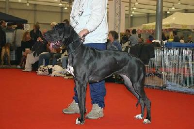 Tamya Des Terres De La Rairie