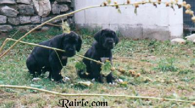 Tamya Des Terres De La Rairie