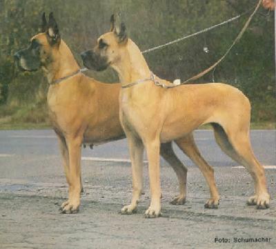 Denise Von Der Garde Du Corps