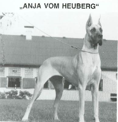 Anja Von Heuberg