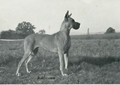 Jalka Von Kuerenberg