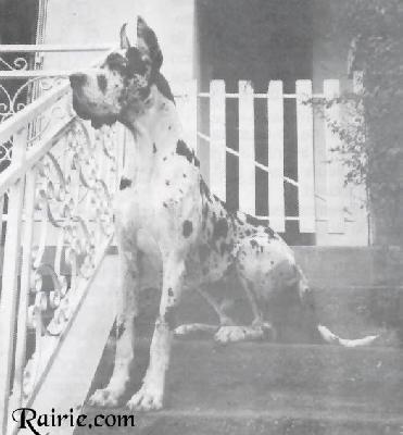 Ch Viborg Du Clos Templerie