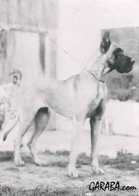 Barbara Melanie De Garaba