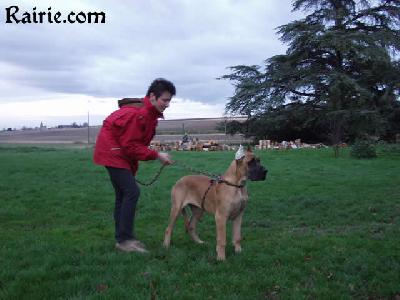 Tzarn Des Terres De La Rairie