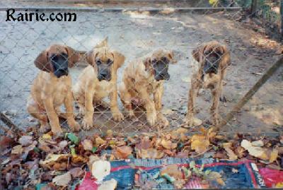 Teotihuacan Des Terres De La Rairie