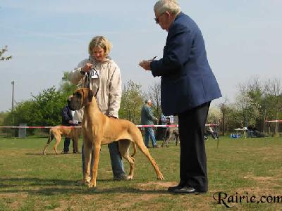 Ch Tarah Des Terres De La Rairie