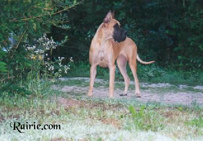 Royale Des Terres De La Rairie
