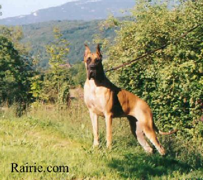Royale Des Terres De La Rairie