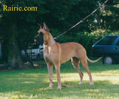 Royale Des Terres De La Rairie