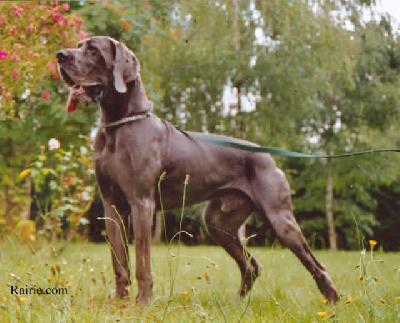 Orlof Du Val De Lamitie