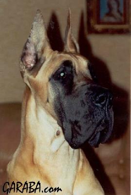 Gudrun Des Petites Vernieres