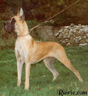 Gudrun Des Petites Vernieres