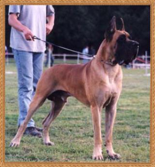 Mortimer Des Terres De La Rairie