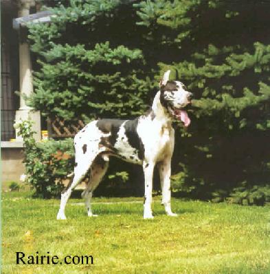 Ch Ourakhan Des Terres De La Rairie