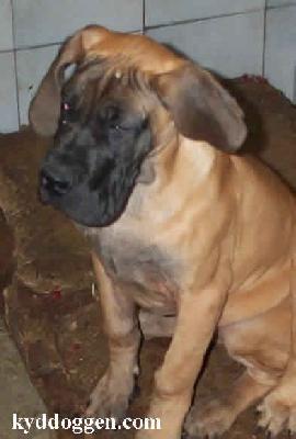 Eliza Vom Sprendlinger Tal