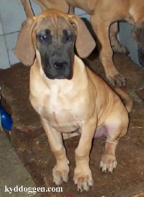 Eyke Vom Sprendlinger Tal