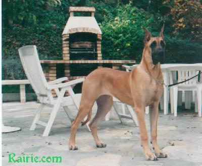 May Flower Des Terres De La Rairie