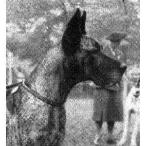 Norma Von Dietrichseck