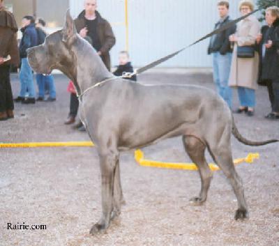 Ch Morganne De Montbreuil