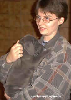 Ikarus Vom Hause Wagner