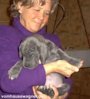 Inchi Vom Hause Wagner