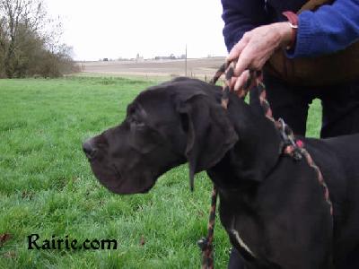 Tchornii Des Terres De La Rairie