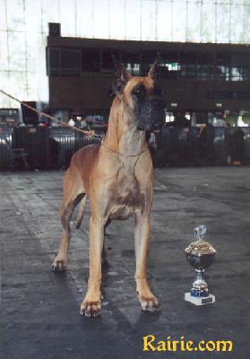 Ch Matra-murena Jag-sza