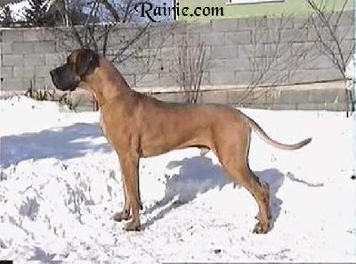 Ch Zep Van De Lingestreek