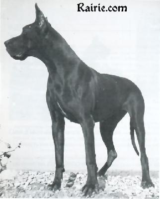 Thalie De Mourre Frais