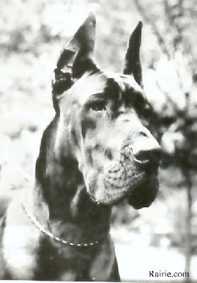 Thalie De Mourre Frais