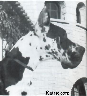 Ugo De La Grande Vigie