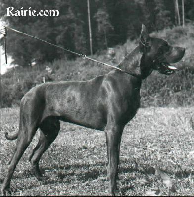 Ch Kasimir Von Agricola