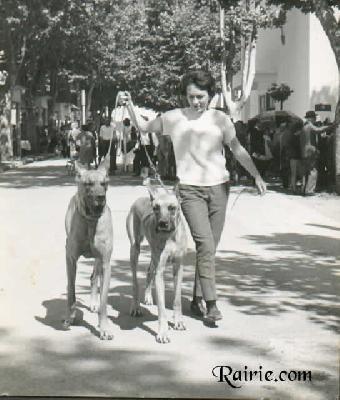 Katja De La Templerie