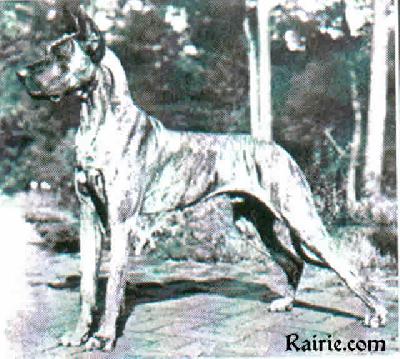 Attila Vom Falkenstein