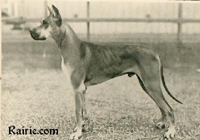 Ch Primas Von Der Rheinschanze