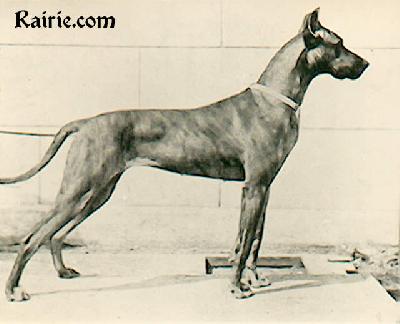 Tula Von Friedrichstein-askania