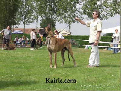 Ch Rhunter Des Terres De La Rairie