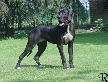 Toully Des Terres De La Rairie