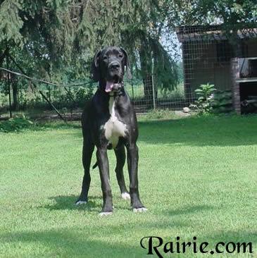 Toully Des Terres De La Rairie