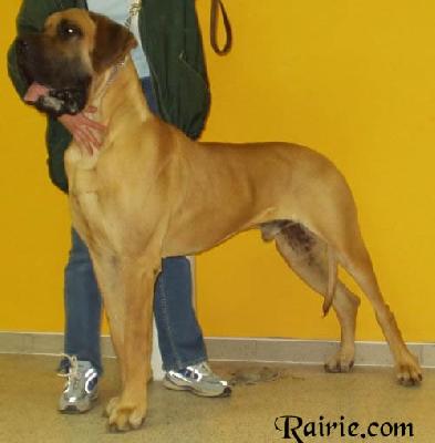 Ch Typ Top Des Terres De La Rairie