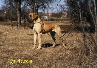 Ch Typ Top Des Terres De La Rairie
