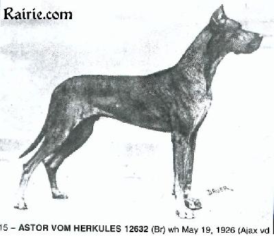 Astor Von Herkules