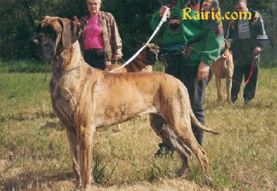 Aurora�s Hope Aida