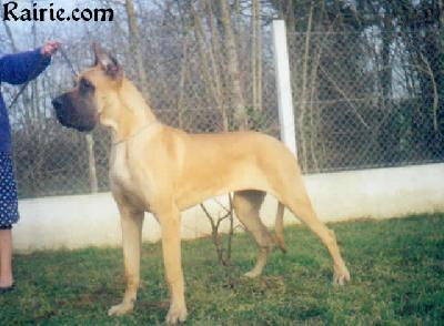 Perle Dor Des Brumes De La Vallee Du Cher